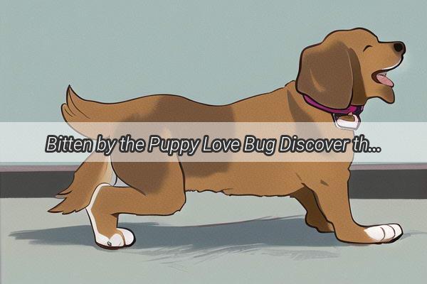 Bitten by the Puppy Love Bug Discover the Adorable Consequences of Falling for a Furry Friend